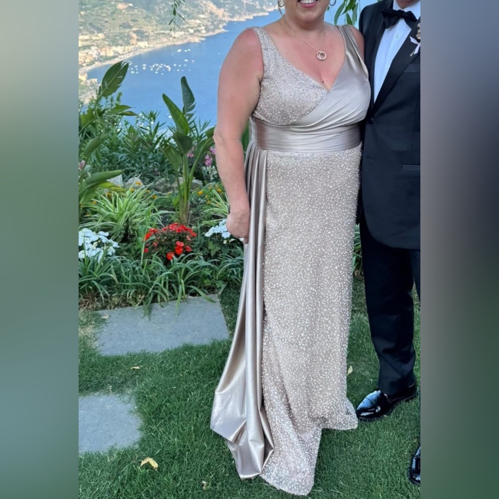 Elegant Champagne Evening Gown - Picture 4 of 5